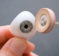 Everything You Need to Know About Prosthetic Eyes